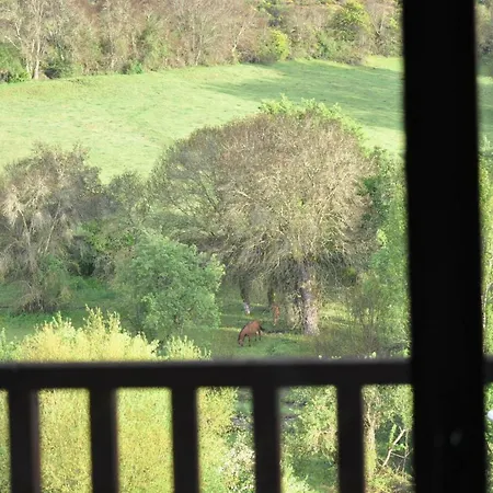 Rural Nido Azul Holiday home